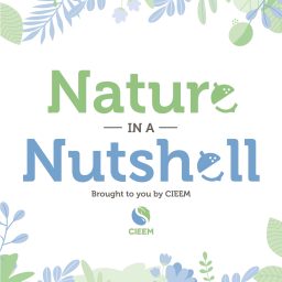 Artwork for Nature In A Nutshell