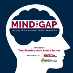 Artwork for Mind the Gap: Making Education Work Across the Globe
