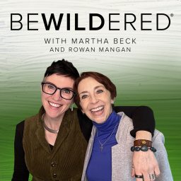 Artwork for Bewildered