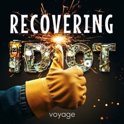 Artwork for Recovering Idiot