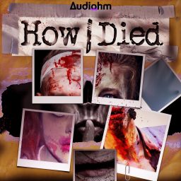 Artwork for How i Died