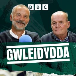 Artwork for Gwleidydda