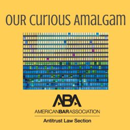 Artwork for Our Curious Amalgam