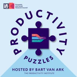 Artwork for Productivity Puzzles