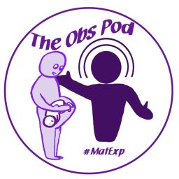 Artwork for The Obs Pod