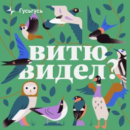 Artwork for Витю видел?