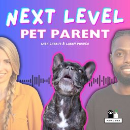 Artwork for Next Level Pet Parent