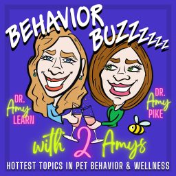 Artwork for Behavior Buzzzzzz with 2 Amys