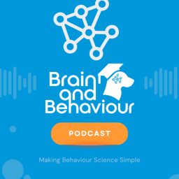 Artwork for Brain and Behaviour
