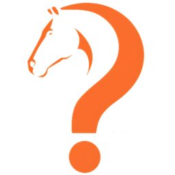 Artwork for Curious Equestrian