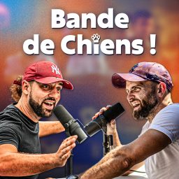 Artwork for Bande de Chiens !