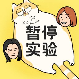 Artwork for 暂停实验