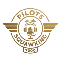 Artwork for Pilots Squawking