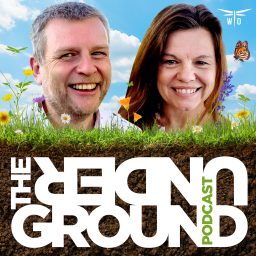Artwork for The Underground