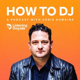 Artwork for How To DJ