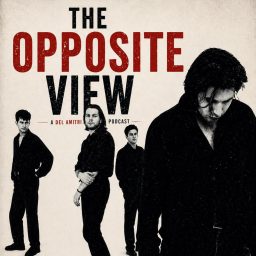 Artwork for The Opposite View