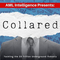 Artwork for Collared