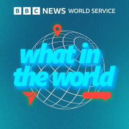 Artwork for What in the World