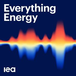 Artwork for Everything Energy