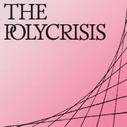 Artwork for The Polycrisis