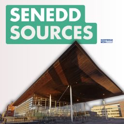 Artwork for Senedd Sources