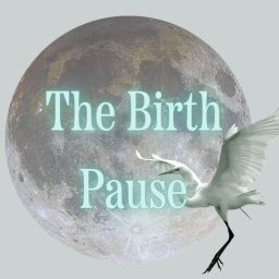 Artwork for The Birth Pause
