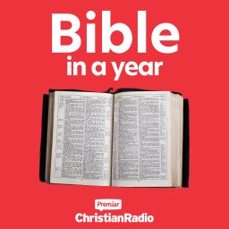 Artwork for Bible in a Year
