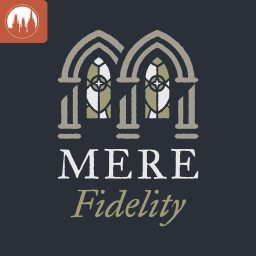 Artwork for Mere Fidelity