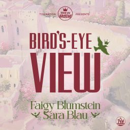 Artwork for Bird’s Eye View