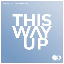 Artwork for This Way Up