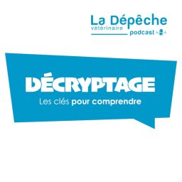 Artwork for Décryptage Les clés pour comprendre