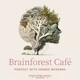Artwork for Brainforest Café