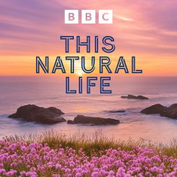 Artwork for This Natural Life