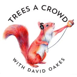 Artwork for Trees A Crowd
