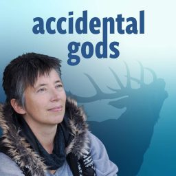 Artwork for Accidental Gods - The Thrutopian Podcast
