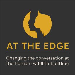 Artwork for At the Edge