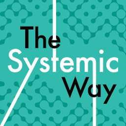Artwork for The Systemic Way
