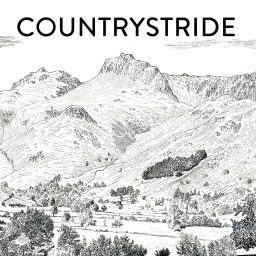 Artwork for Countrystride