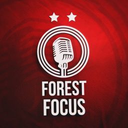 Artwork for Forest Focus