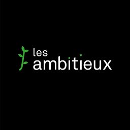 Artwork for Les Ambitieux