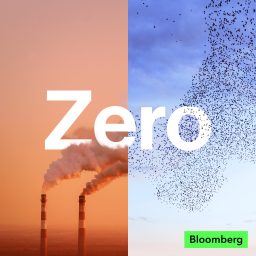 Artwork for Zero: The Climate Race