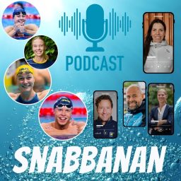 Artwork for Snabbanan