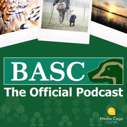 Artwork for BASC