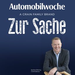 Artwork for Zur Sache