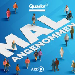 Artwork for Quarks – Mal angenommen