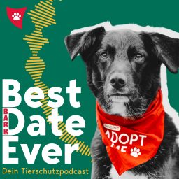Artwork for Best (Bark) Date ever!