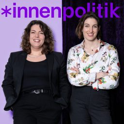 Artwork for *innenpolitik