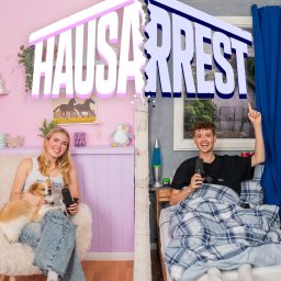 Artwork for Hausarrest