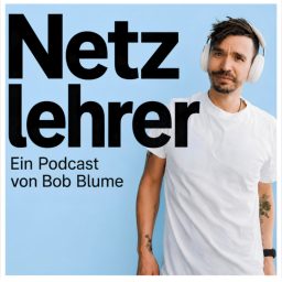 Artwork for Netzlehrer