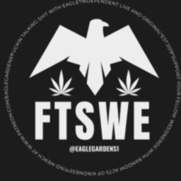 Artwork for F*$kin Talkin Shit With Eagle
